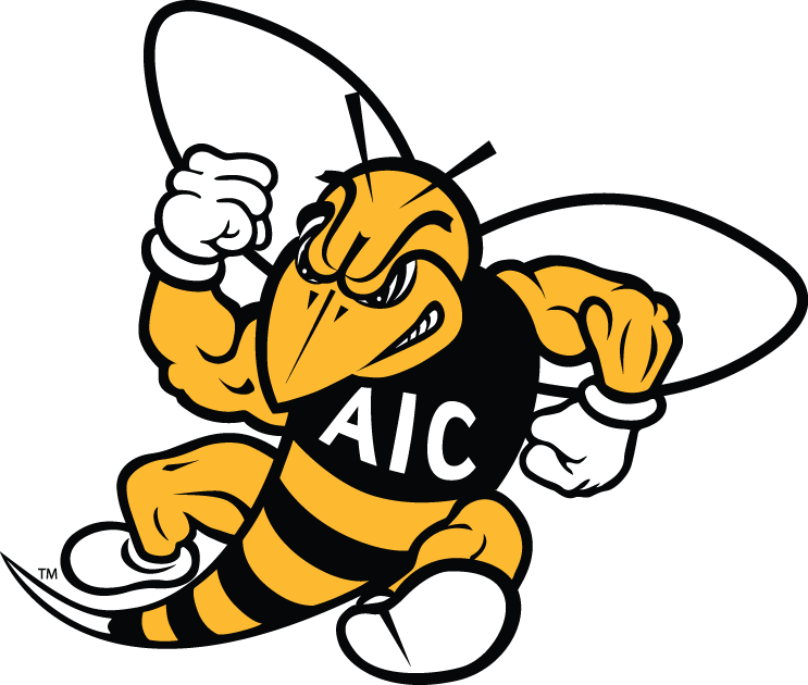 AIC Yellow Jackets 2009-Pres Secondary Logo diy iron on heat transfer